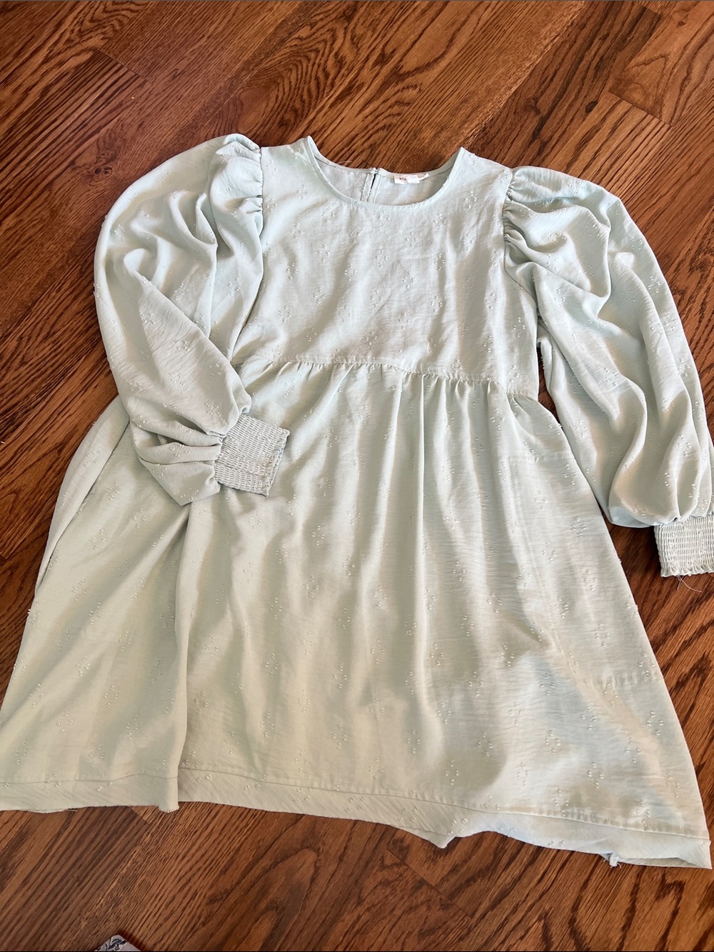 Blu Pepper Light Mint Puff-Sleeve Dress